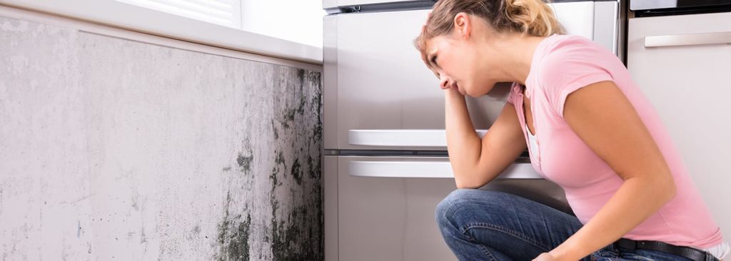 Ways to Spot Mold in your Home